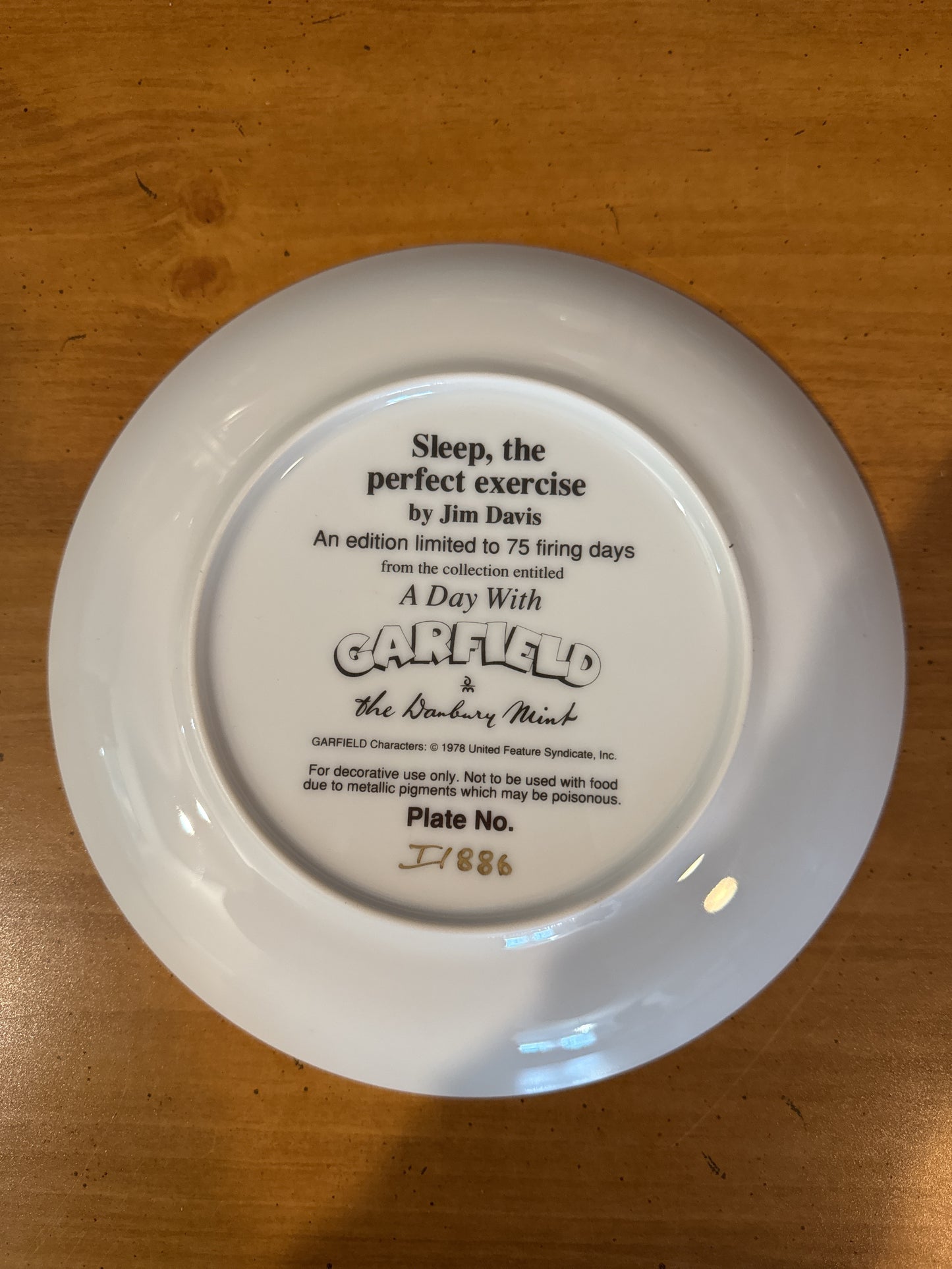Garfield Collector's Plate by Danbury Mint "Sleep, The Perfect Exercise" 8.25" Wide Plate #I1886 Jim Davis