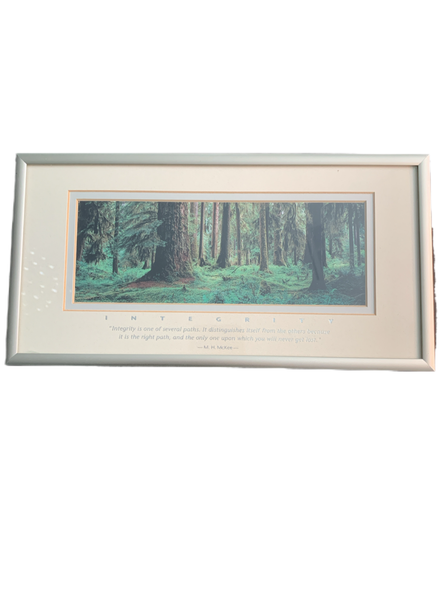 Successories Integrity Hall of Mosses Trail Framed 12X6