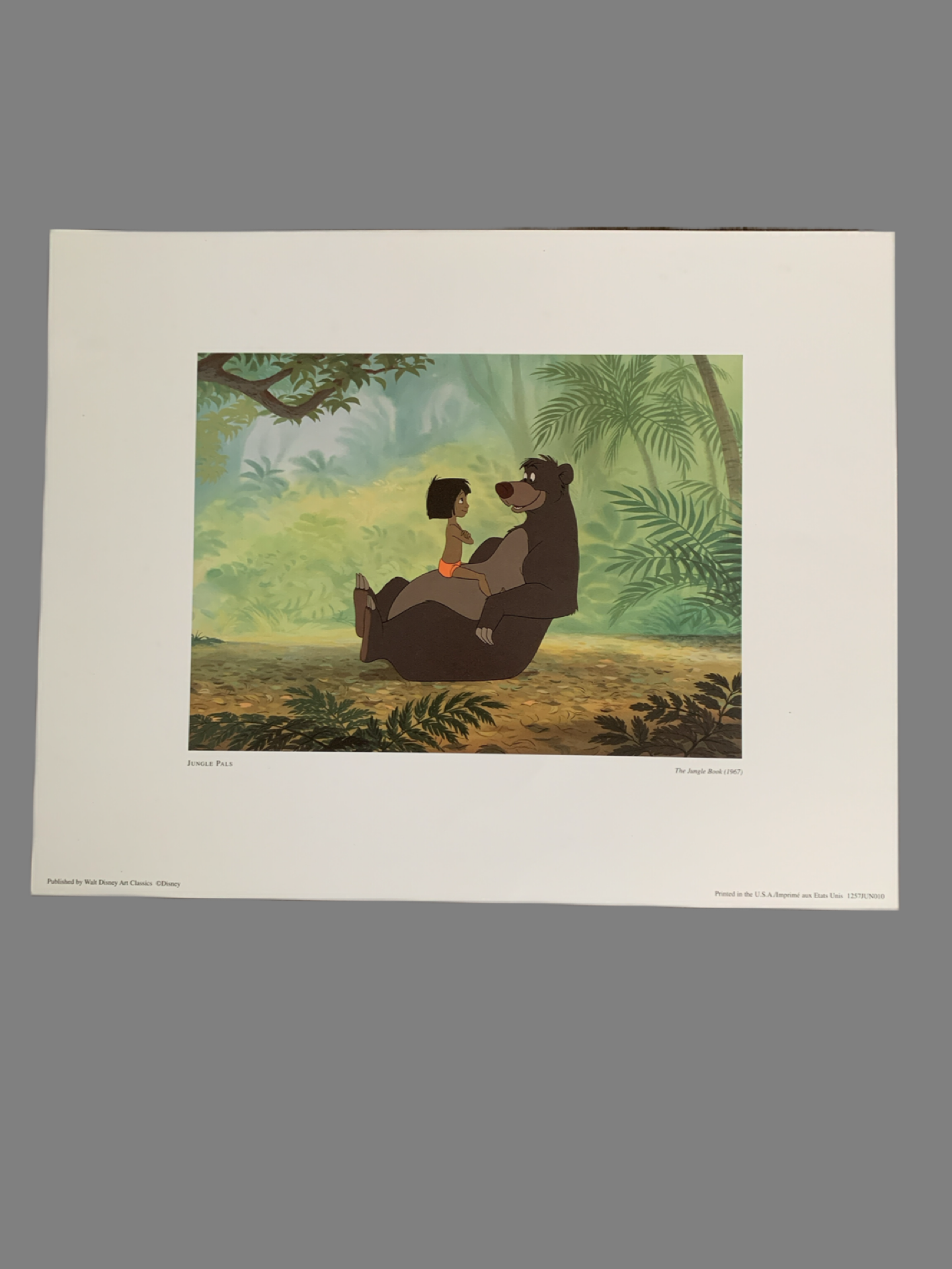 Disney Jungle Book Ball Bear and Boy Lithograph 11 X 14