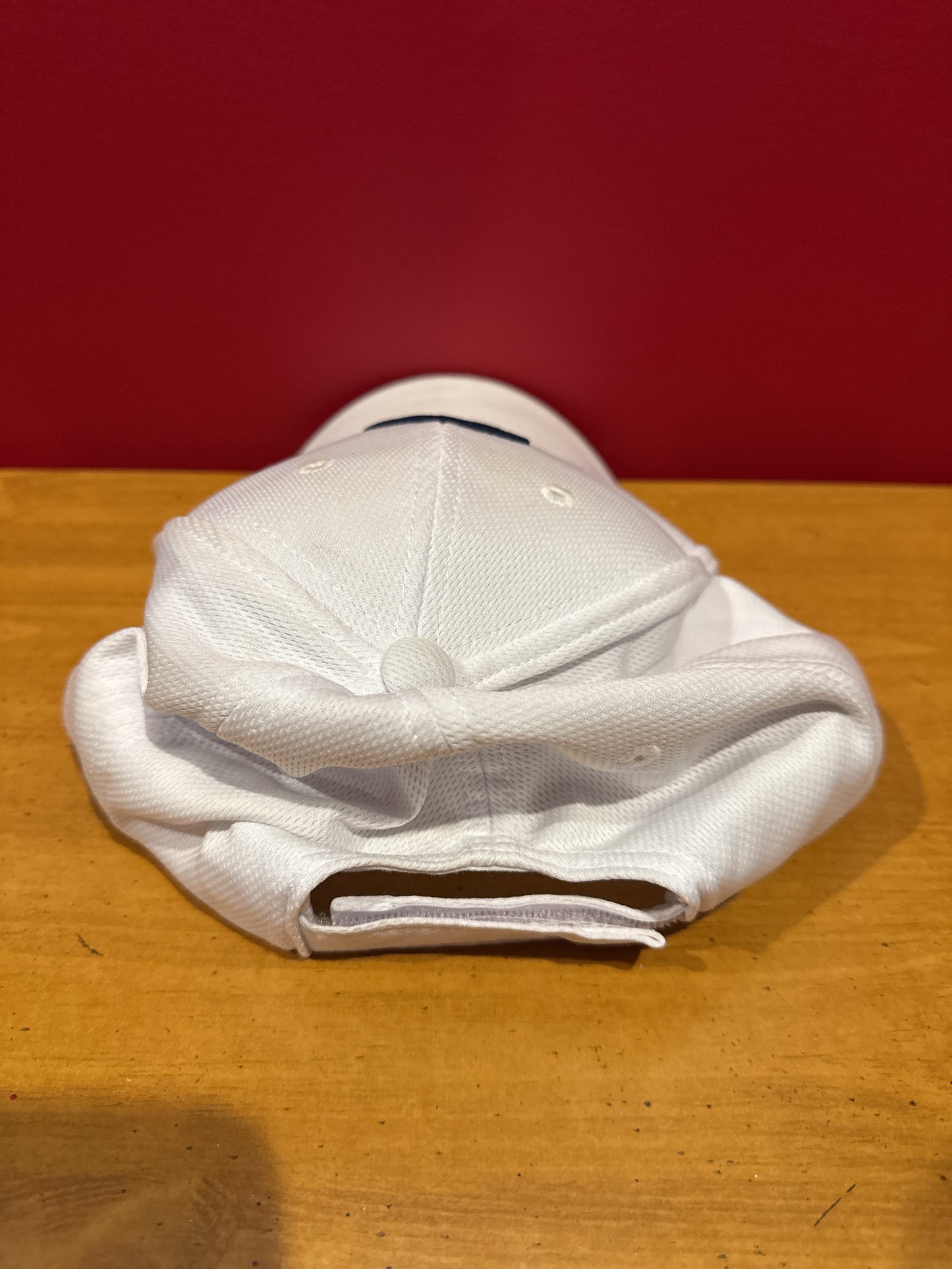 Disney Parks Baseball Hat Adult Strapback Velcro White Blue Embroidered D Logo