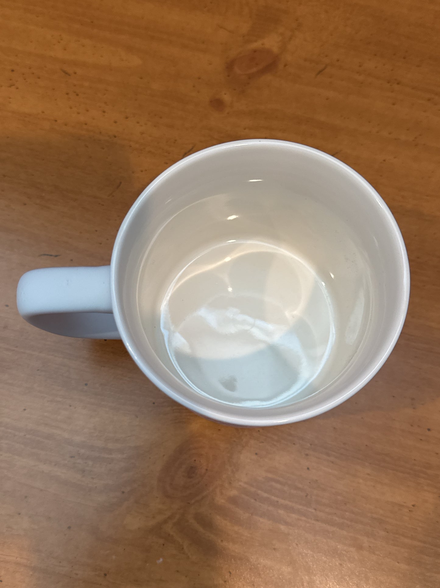 Clementine Floral Coffee Cup 3.75" Tall