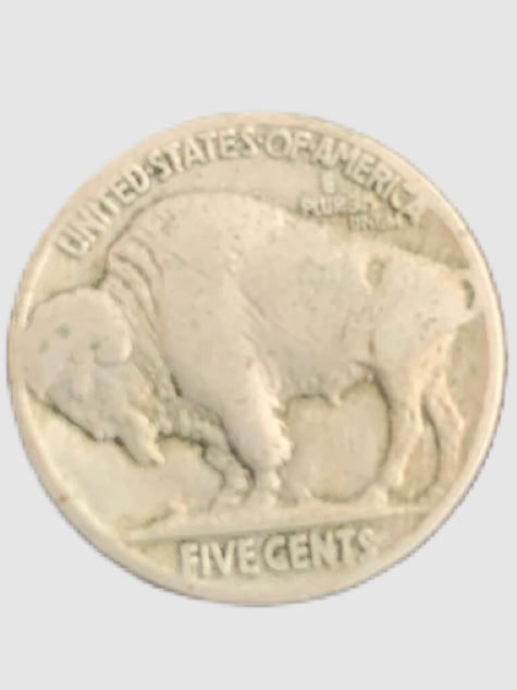 1929 Buffalo Nickel, Indian Head 5 Cents No Mint Mark