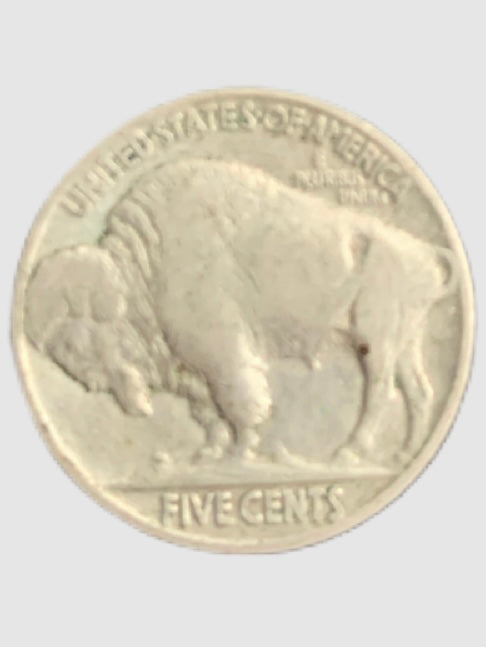 1930 Buffalo Nickel, Indian Head 5 Cents No Mint Mark