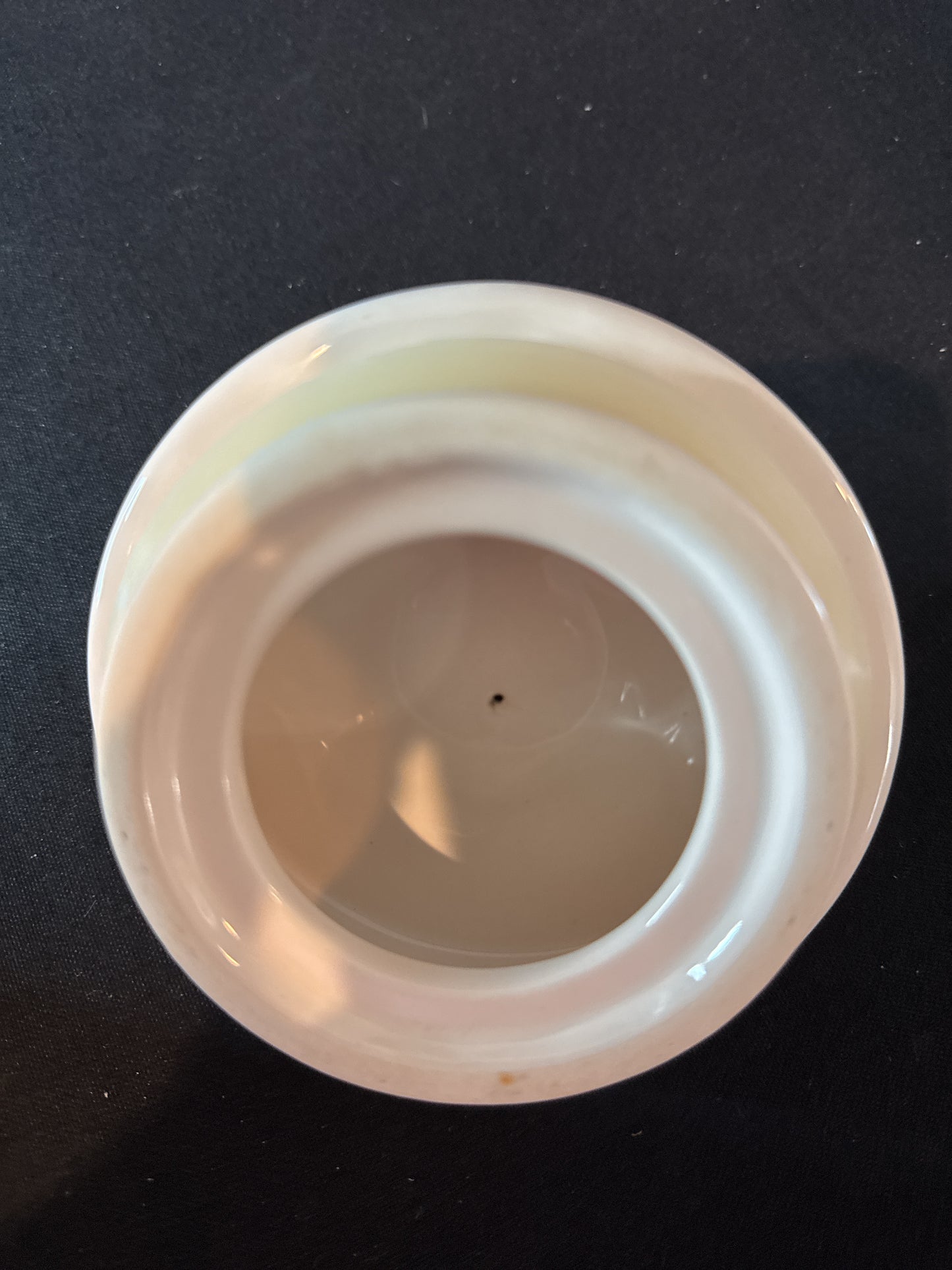 Rae Dunn Ceramic Dog Food Container 9.25" Tall With Lid Container For Dog Treats or Cookies