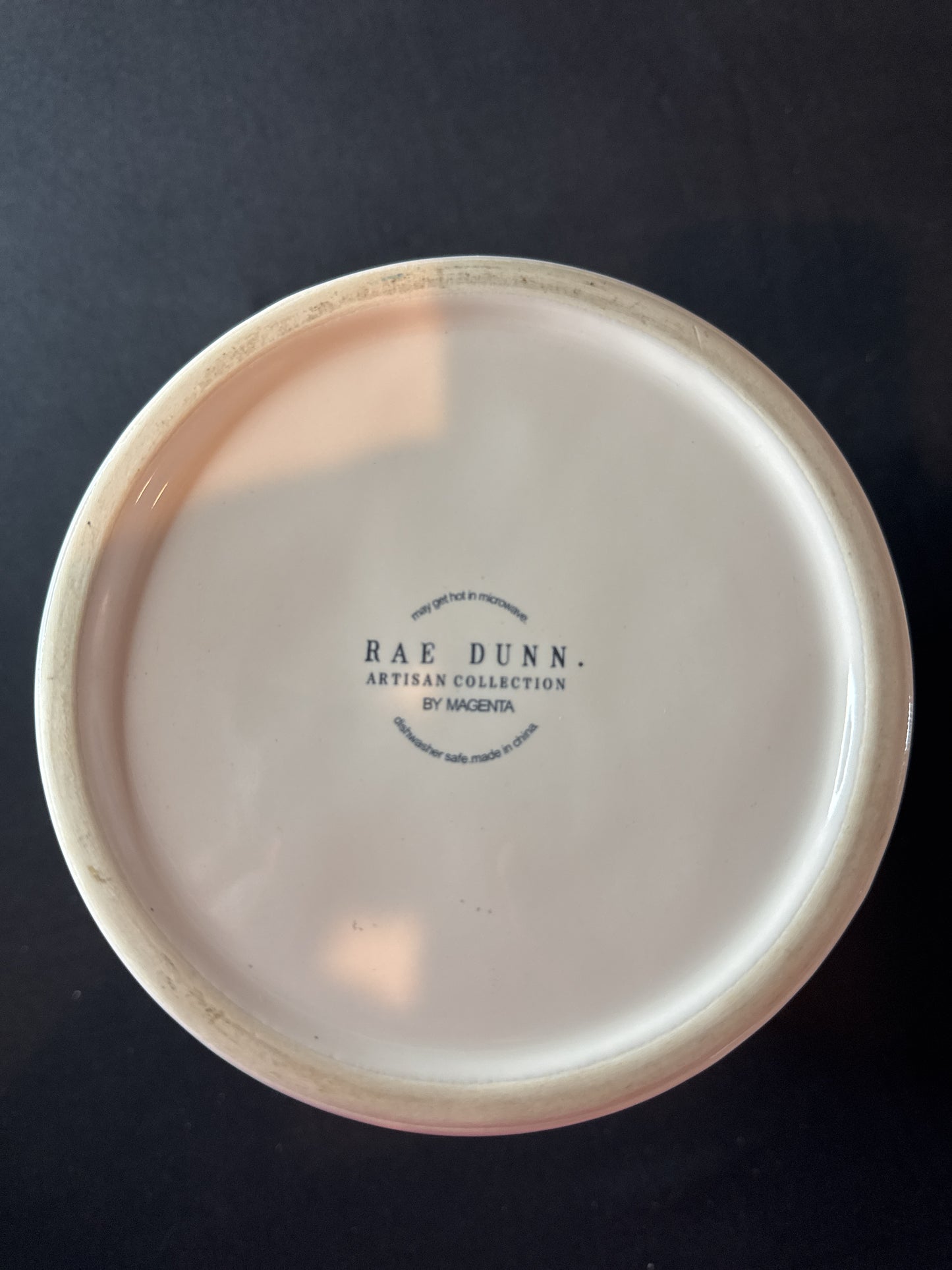 Rae Dunn Ceramic Dog Food Container 9.25" Tall With Lid Container For Dog Treats or Cookies