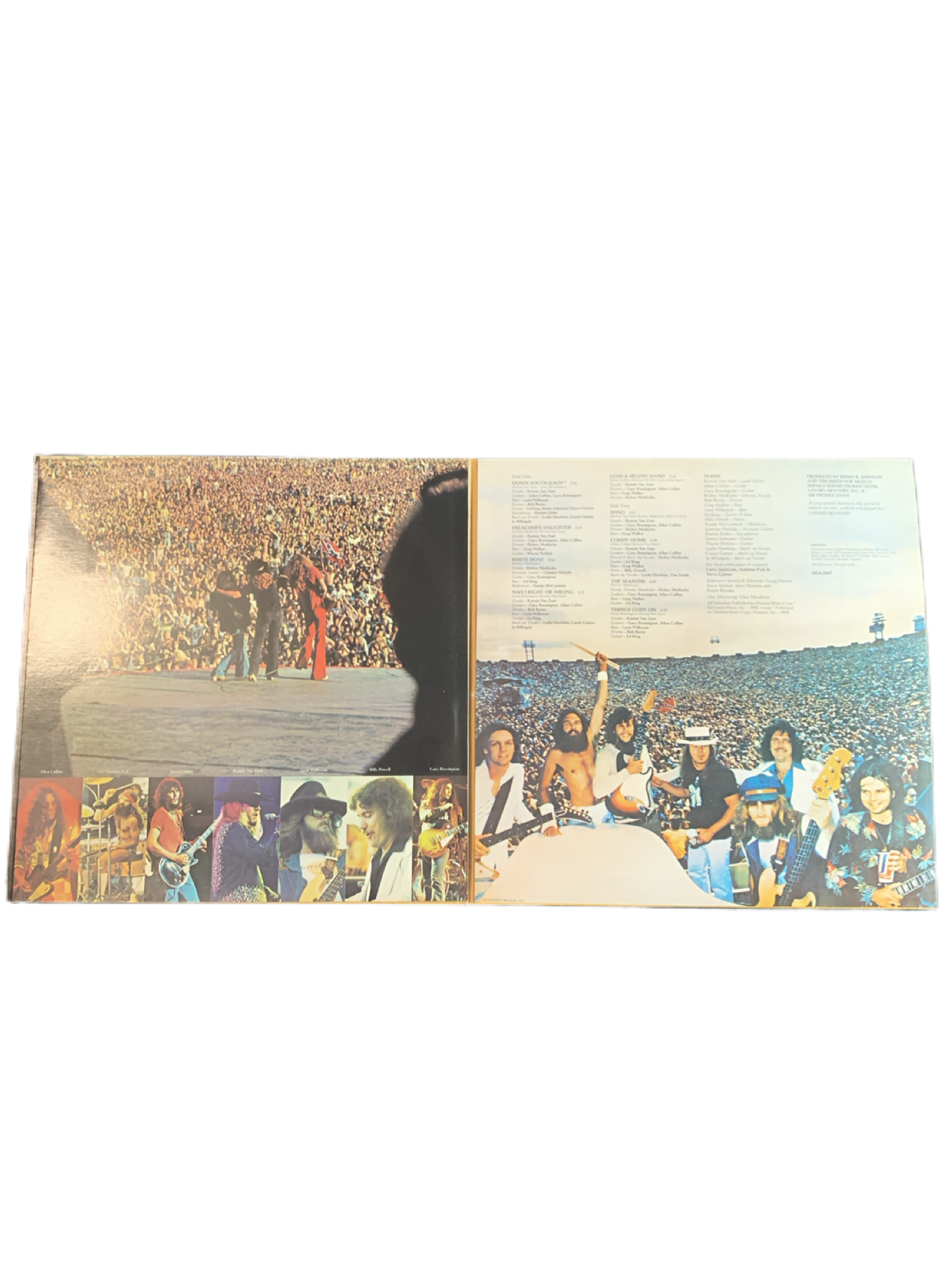 Lynyrd Skynyrd - Skynyrd's First and ... Last (LP, Album, Glo)