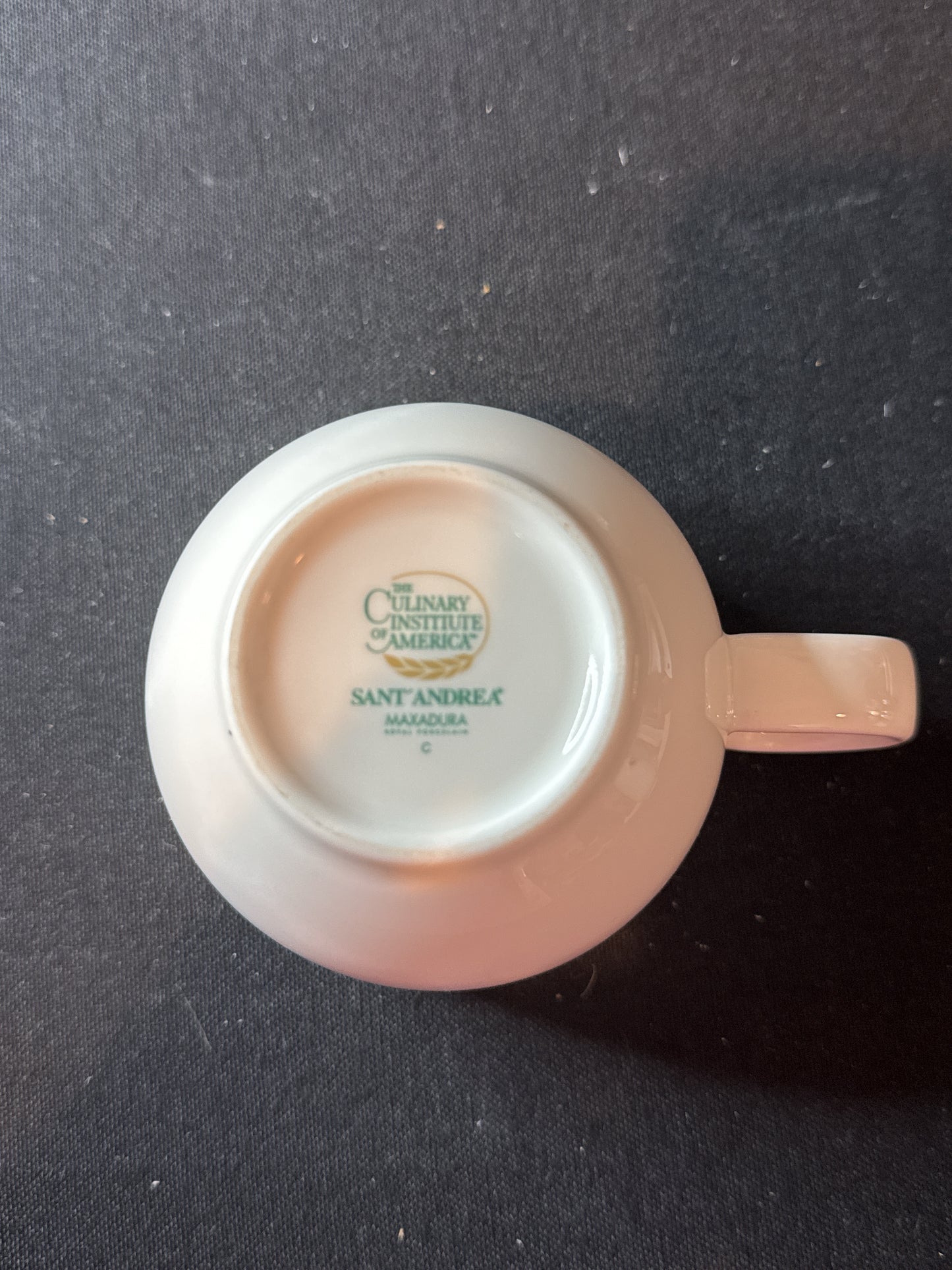 Culinary Institute of America Sant Andrea Maxaduro Tea Cup 2.75" Tall
