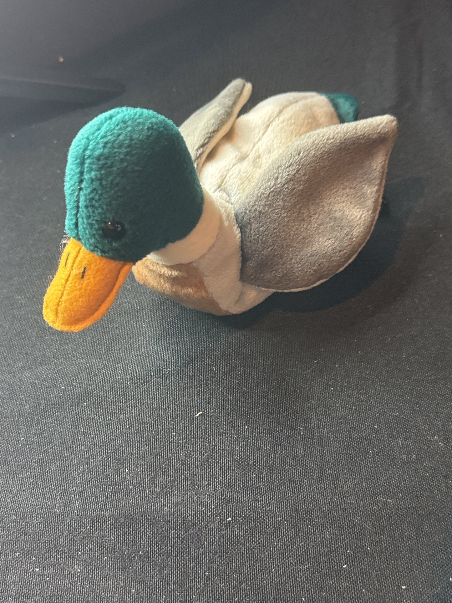 Ty Beanie Baby Jake the Mallard Drake Duck 1998 Tush Tag No Heart Tag