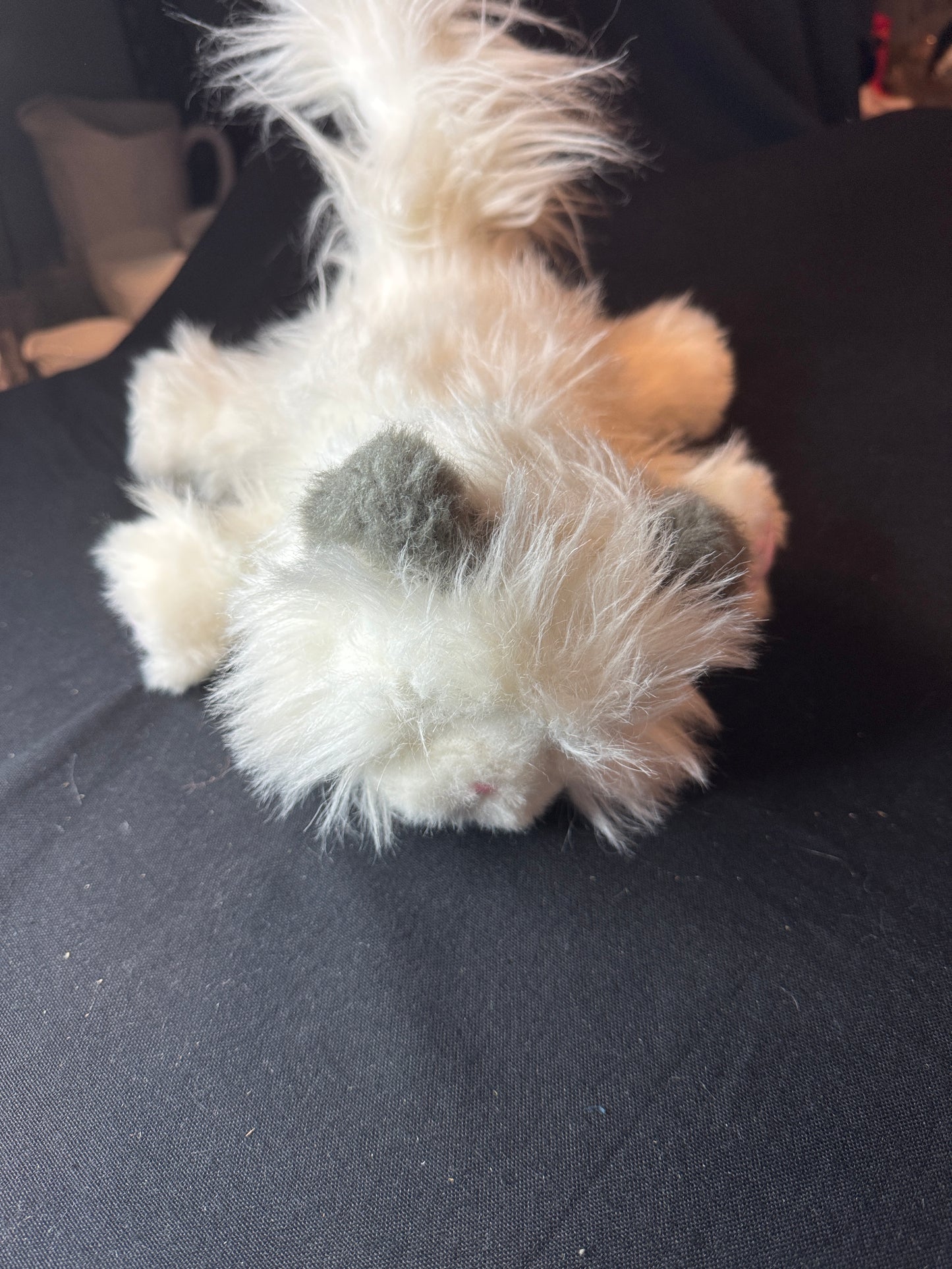 Little Live Pets Cuddles My Dream Kitten White Cat Kitty Toy Stuffed Works with Sounds