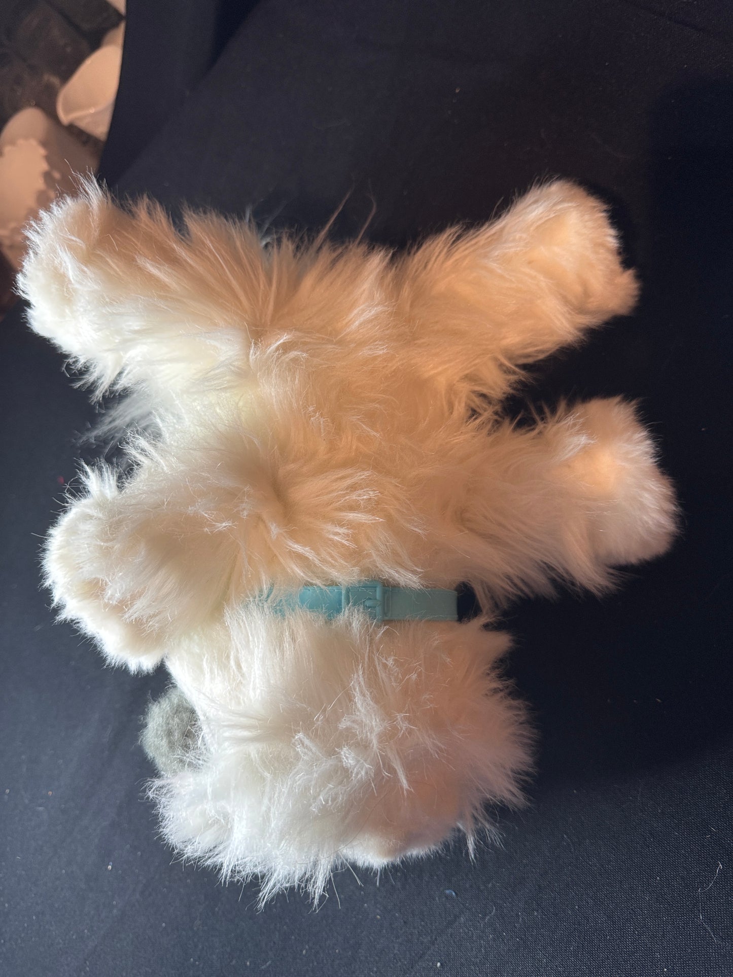 Little Live Pets Cuddles My Dream Kitten White Cat Kitty Toy Stuffed Works with Sounds