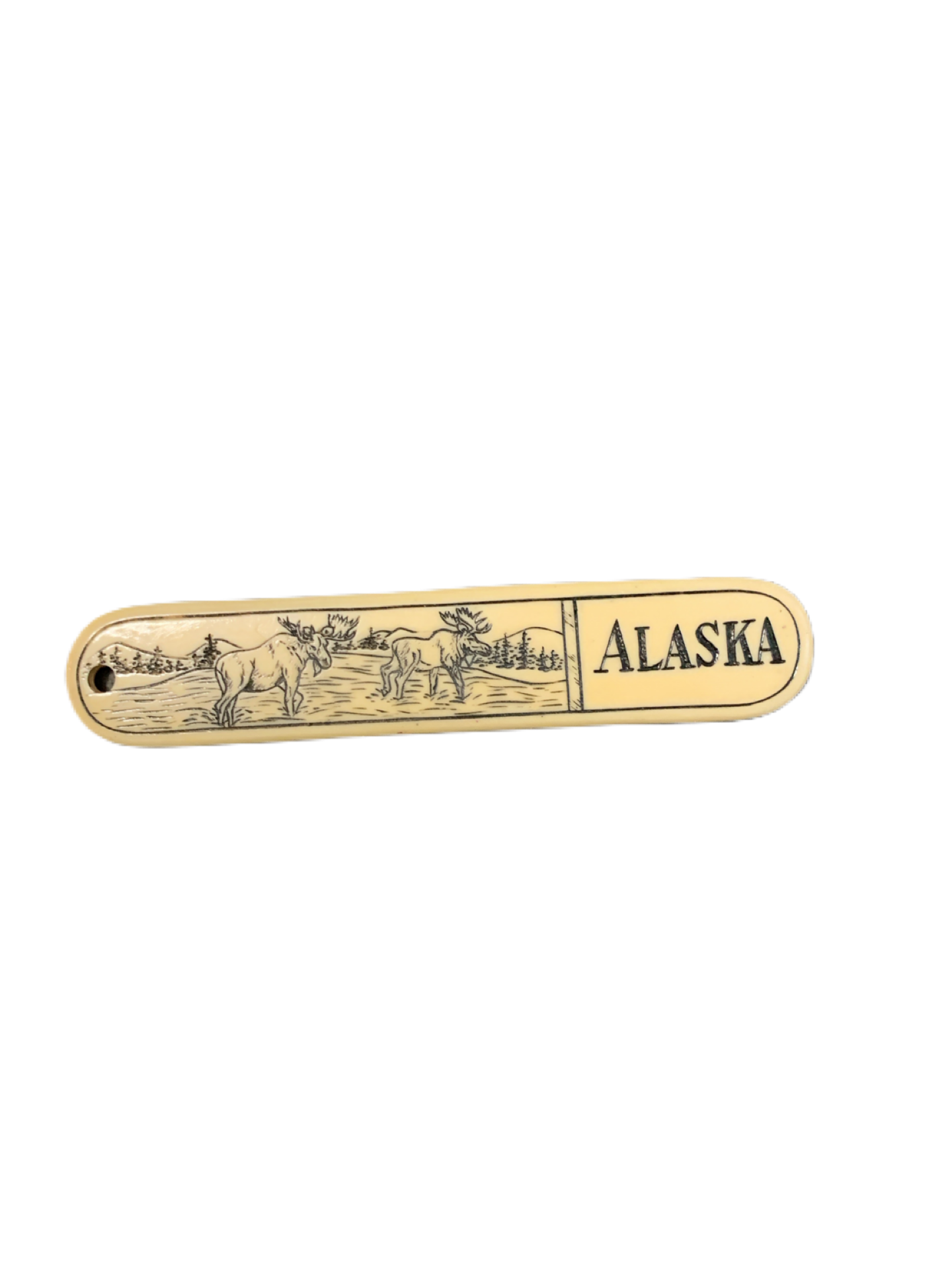 Alaska Acrylic State Placard 4.75" X 1"