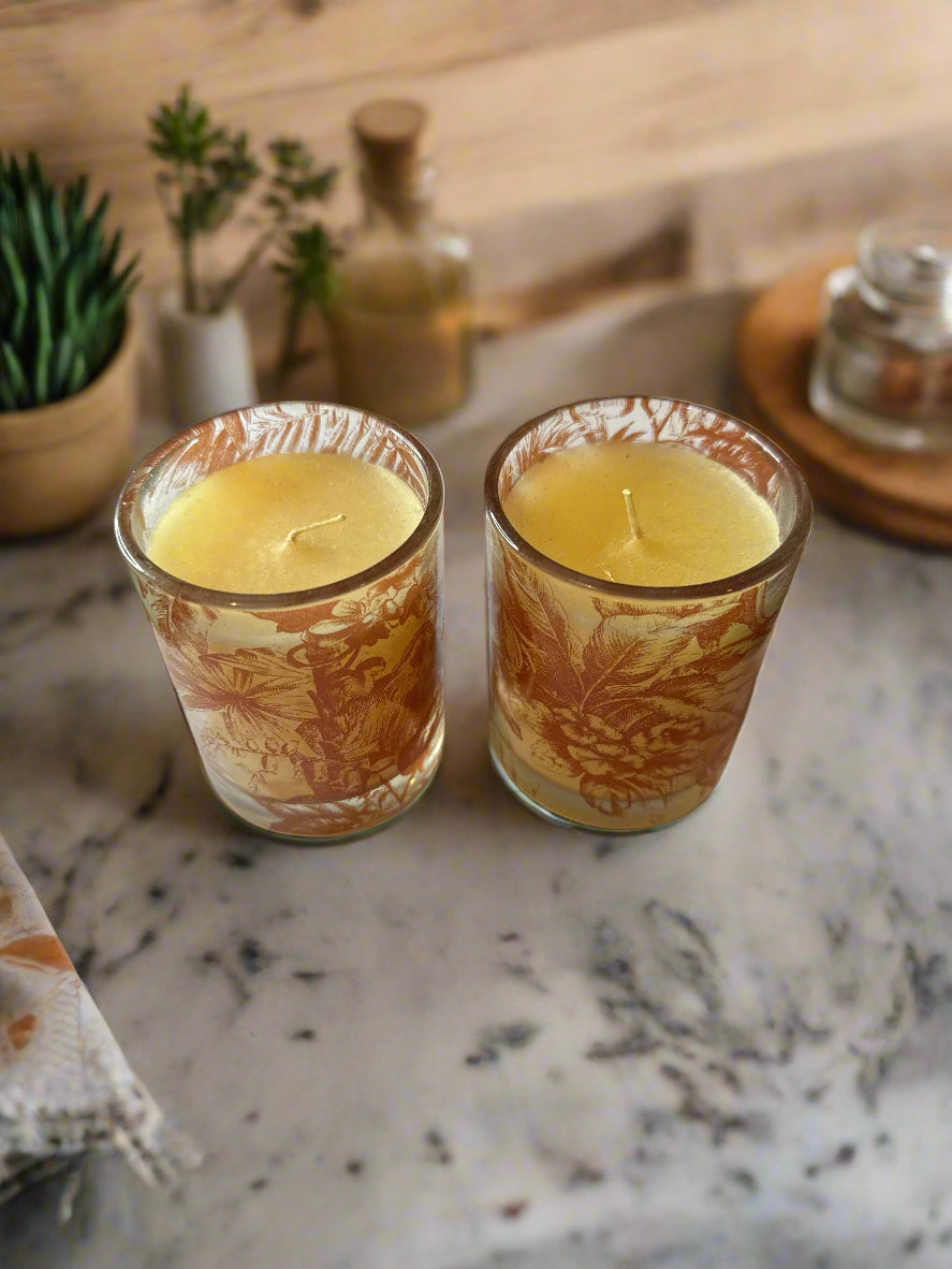 Pair of Jungle Animals Elephant, Zebra, Parrot, Flowers Candles 3" Tall New