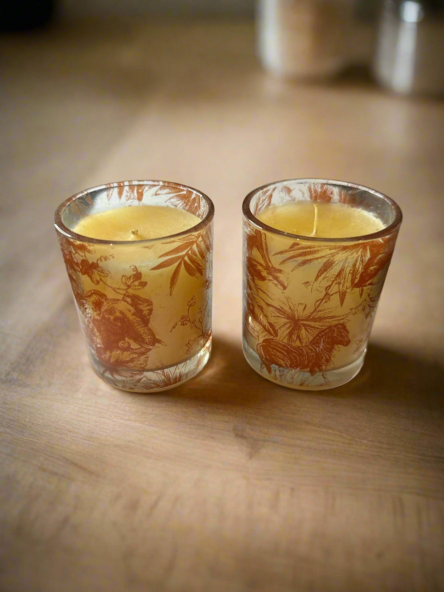Pair of Jungle Animals Elephant, Zebra, Parrot, Flowers Candles 3" Tall New