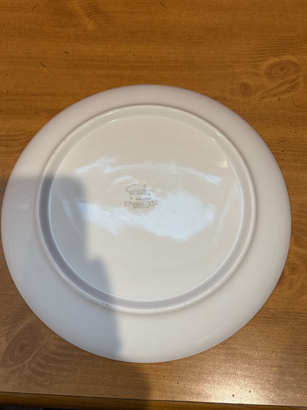 Syracuse Carefree “Woodbine” Plate with Teal & Taupe Leaf Design 10" Wide