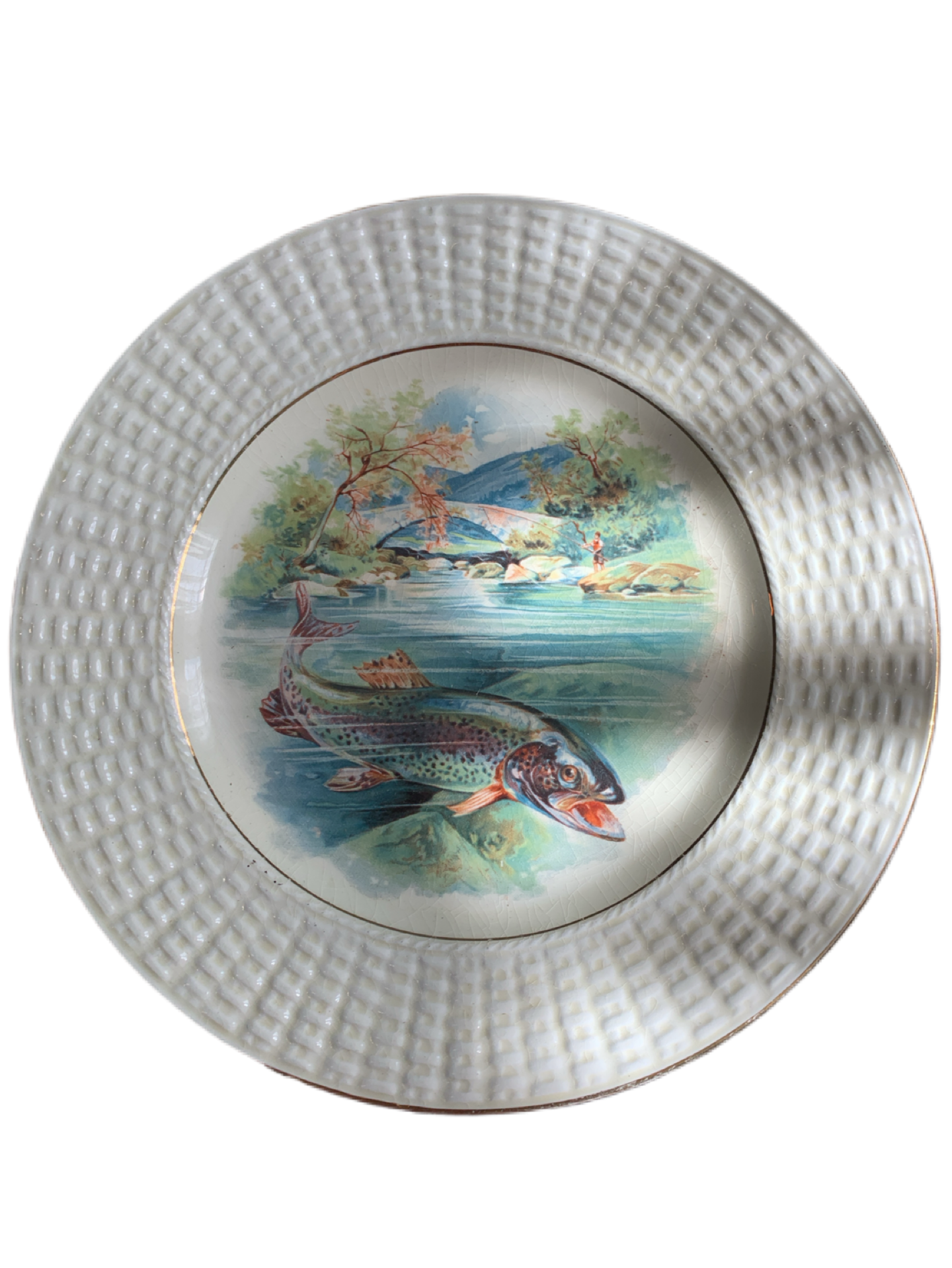 Decorative Fish Plate from Adderley China, Made in England, 9.25" diameter.