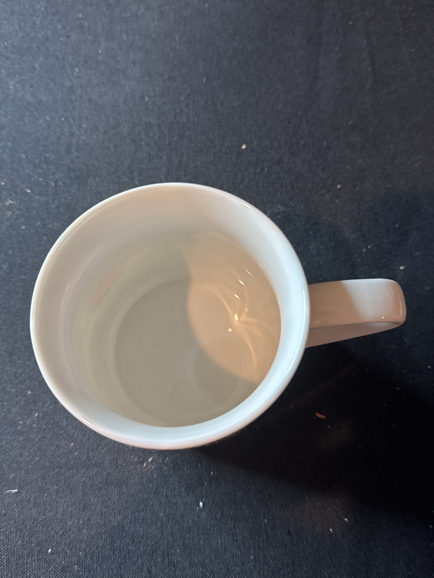 Owls Coffe Mug Cup By Creative Tops Ltd Ceramic Colorful 3.75" Tall New