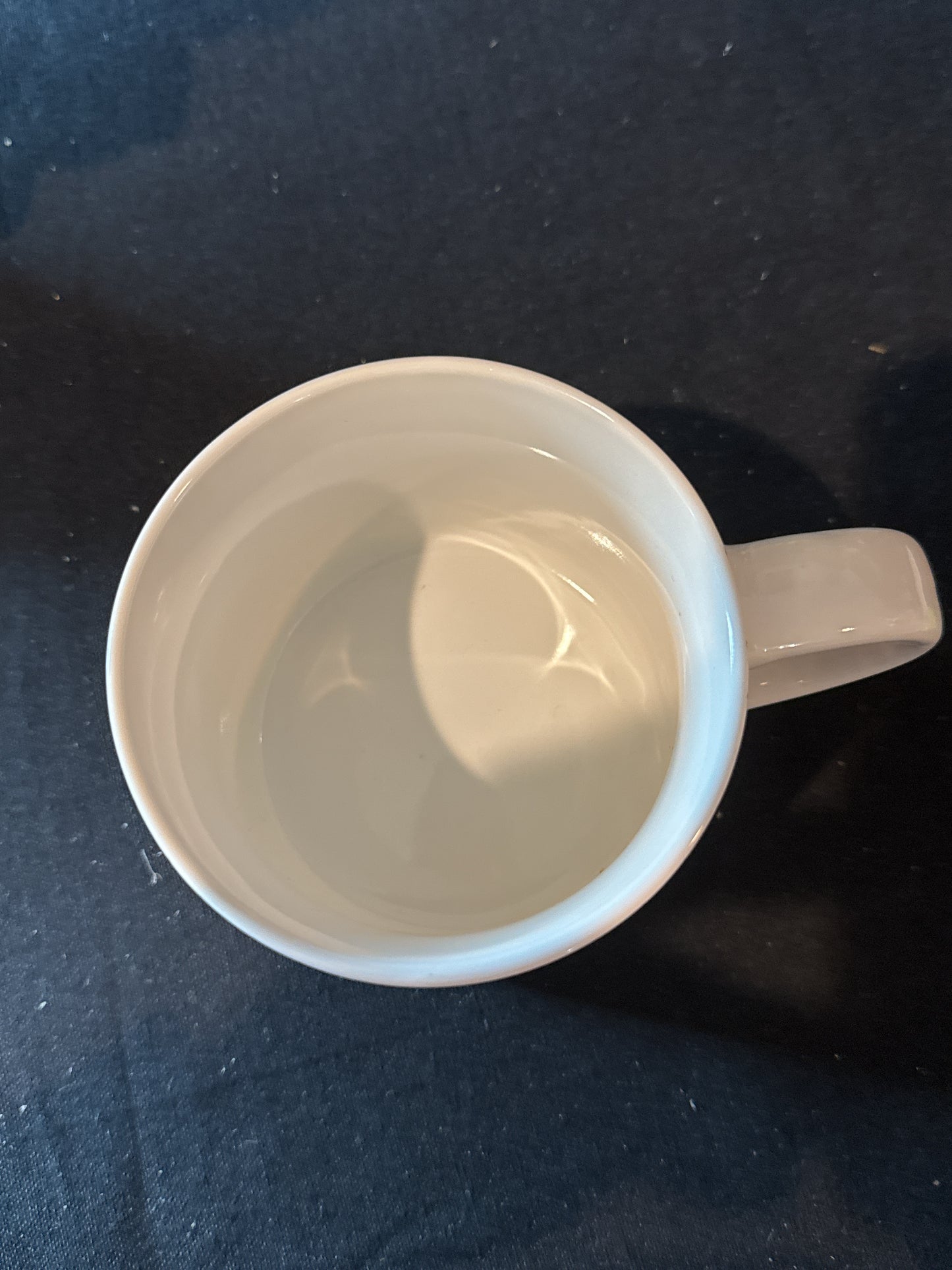 Coco & Lola Set of 4 White & Gold Accented Coffee Cups Mugs With Metal Stand 3.5" Tall Cups