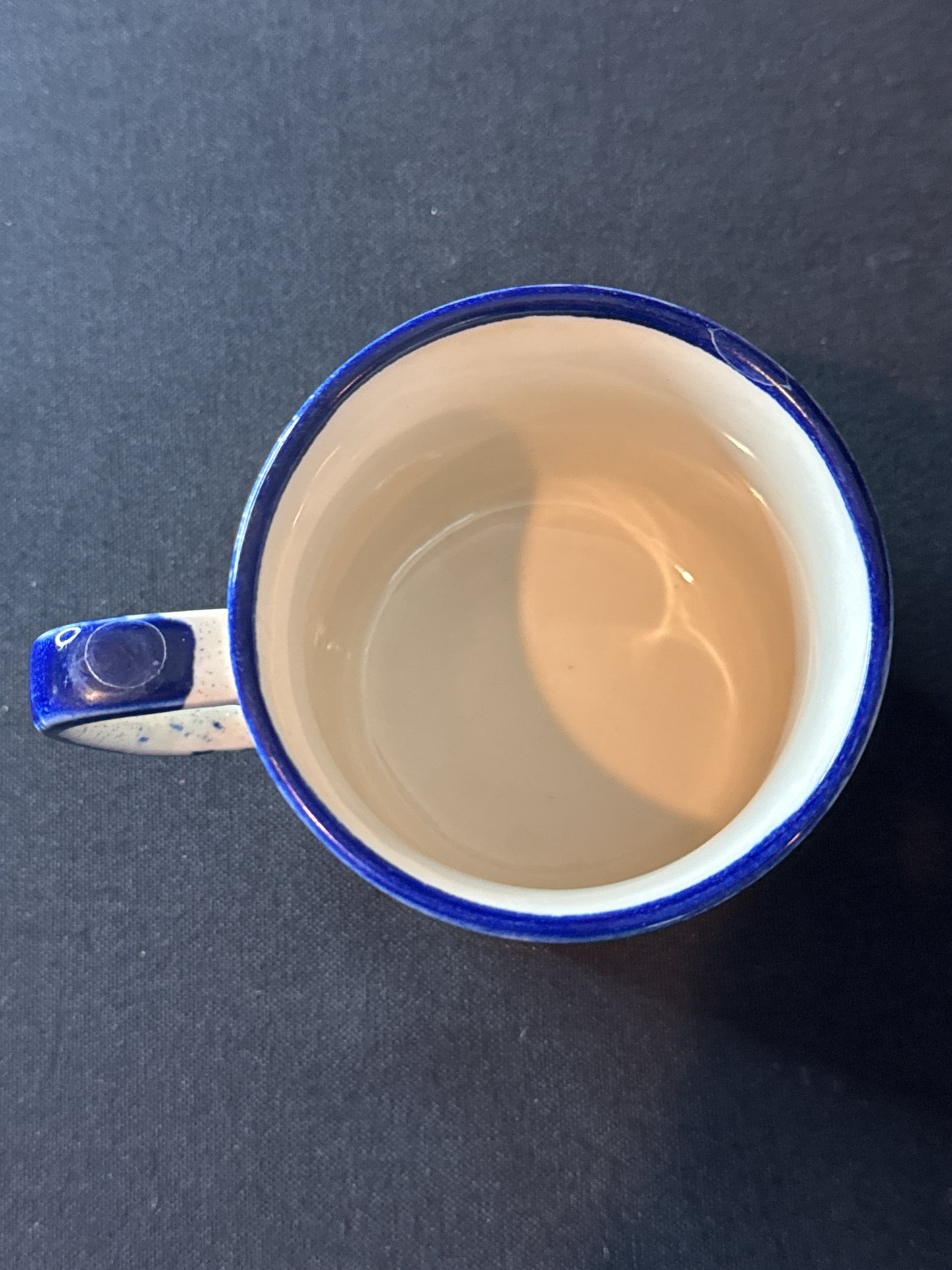 Speckled Stoneware Flower Blue Trim Ceramic Coffee Mug Cup Blue Floral Embossed 3 5/8" Tall