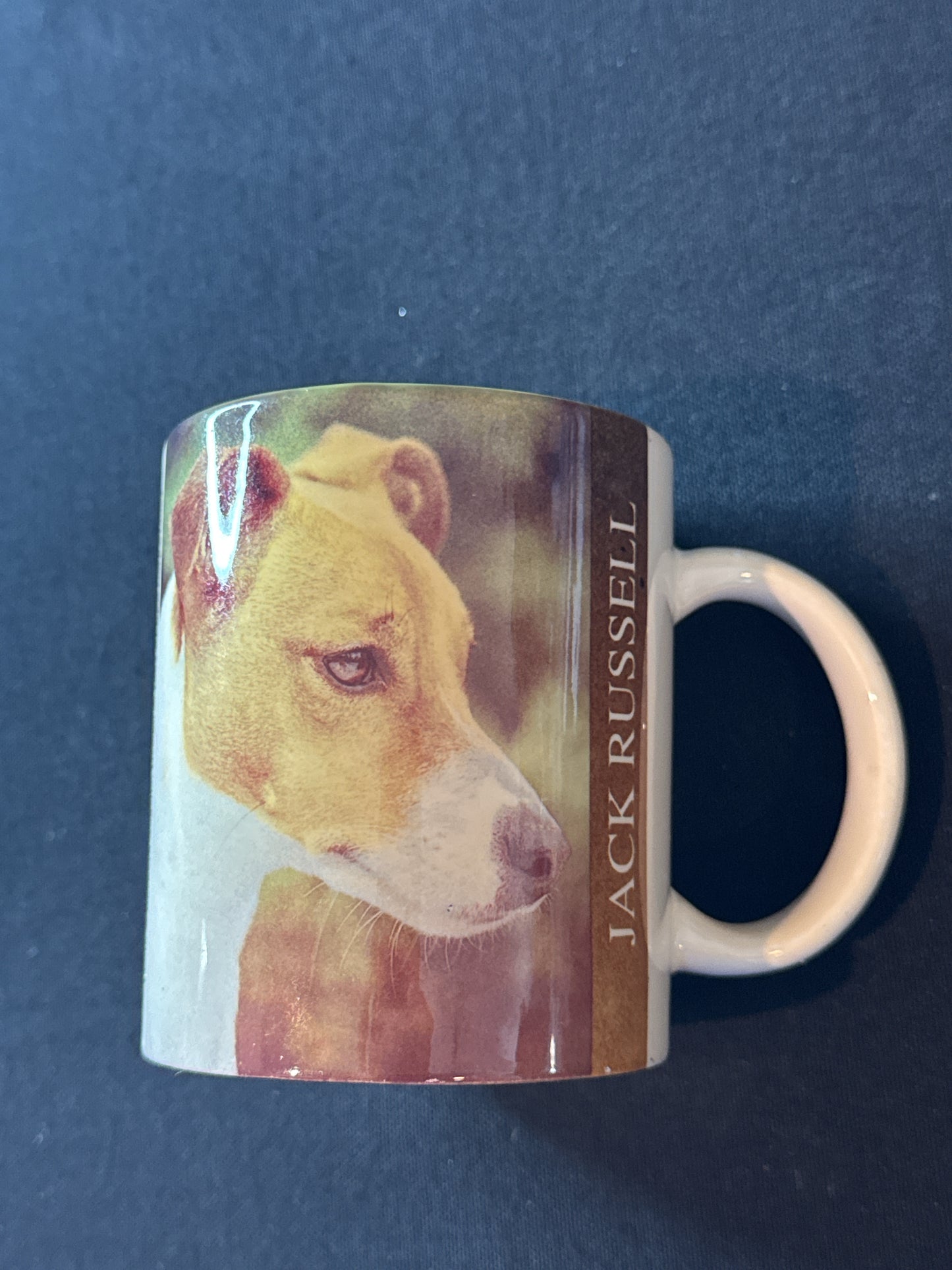 Coffee Cup Mug Jack Russell Terrier Dog Ceramic 12oz Breed Facts Made in USA 3.75" Tall