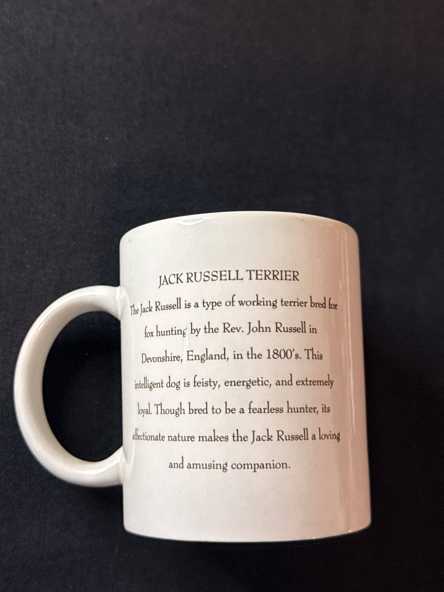 Coffee Cup Mug Jack Russell Terrier Dog Ceramic 12oz Breed Facts Made in USA 3.75" Tall