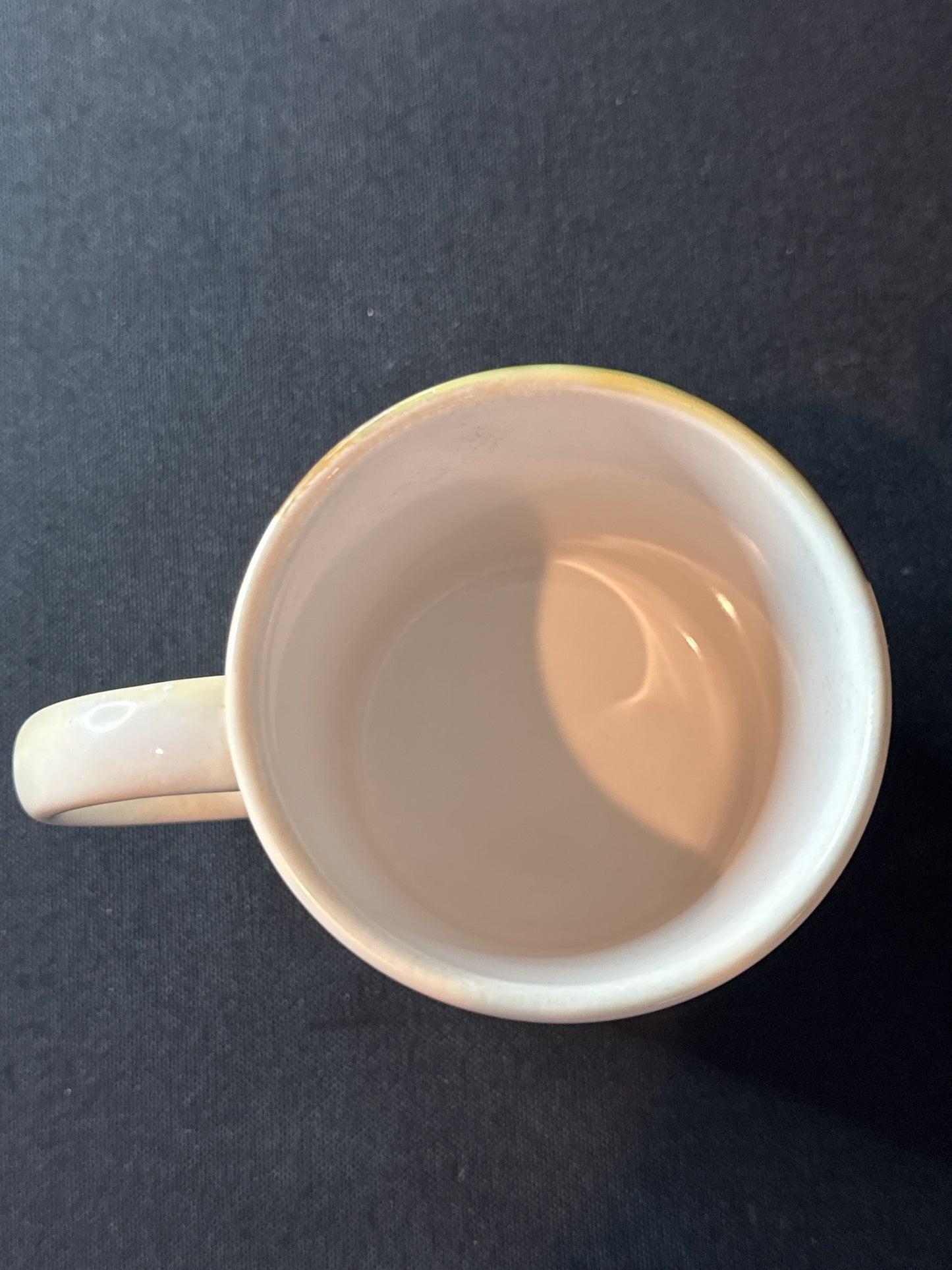 Coffee Cup Mug Jack Russell Terrier Dog Ceramic 12oz Breed Facts Made in USA 3.75" Tall