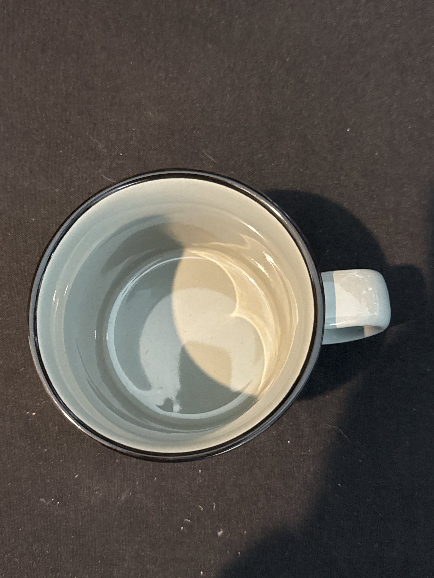 Disney Haunted Mansion Foolish Mortal Gray Large Coffee Cup Mug New 4" Tall