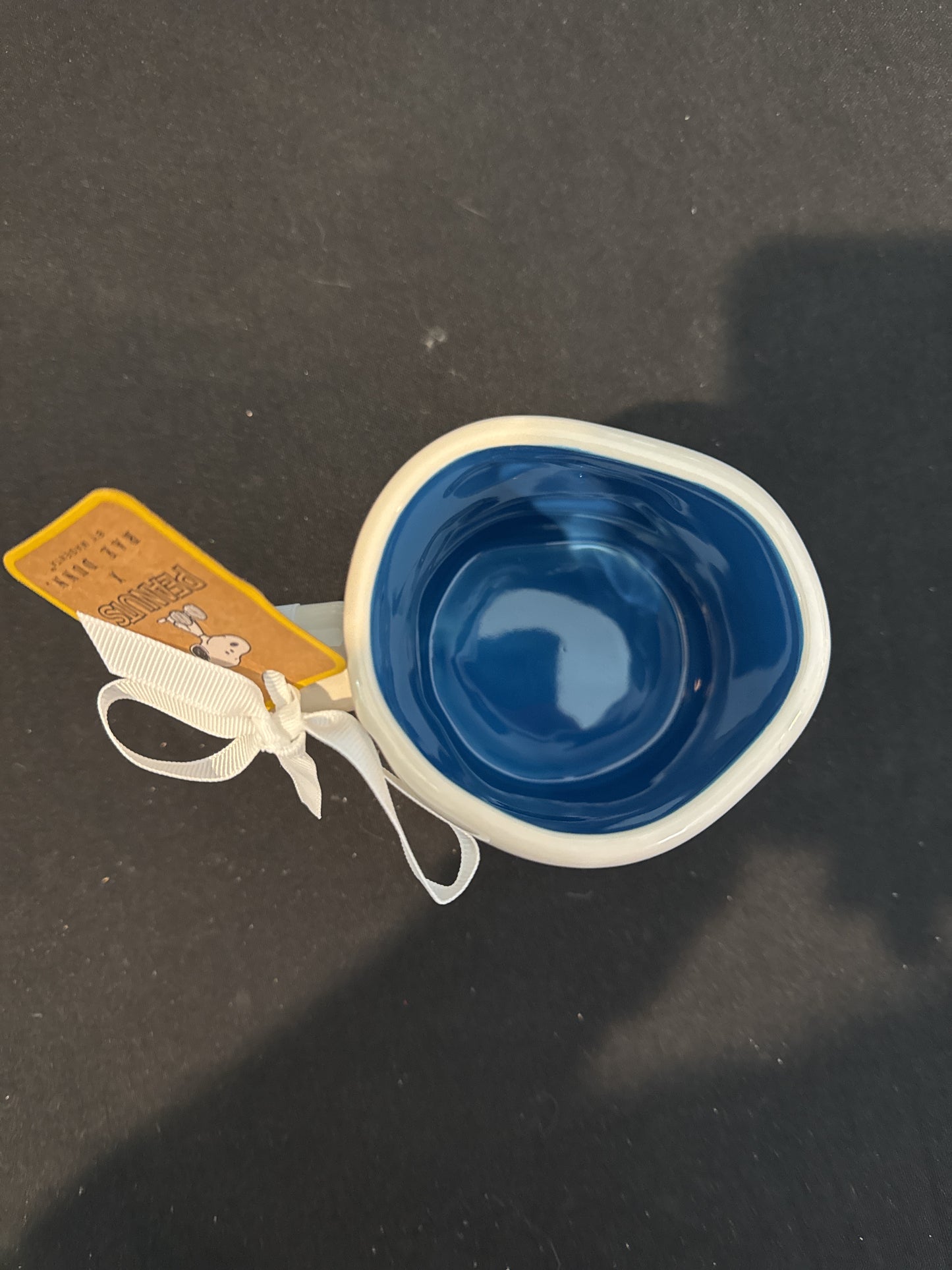 Peanuts Snoopy Woodstock Rae Dunn Coffee Cup Mug Blue Interior New 5" Tall