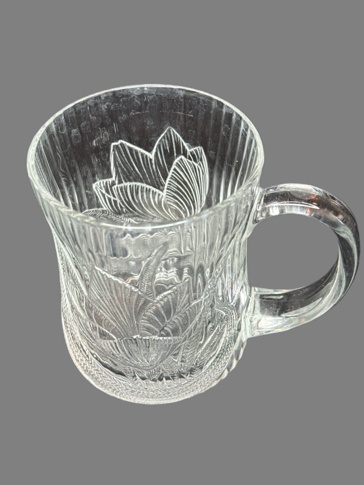 Canterbury Crocus Etched Flower Leaf Glcoloc France Glass Mug 12oz