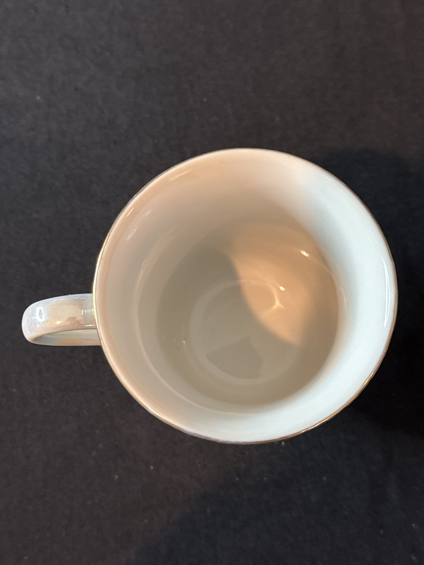 Dolphin Themed Pearlescent Finish Footed Base Coffee Mug Cup 4" Tall