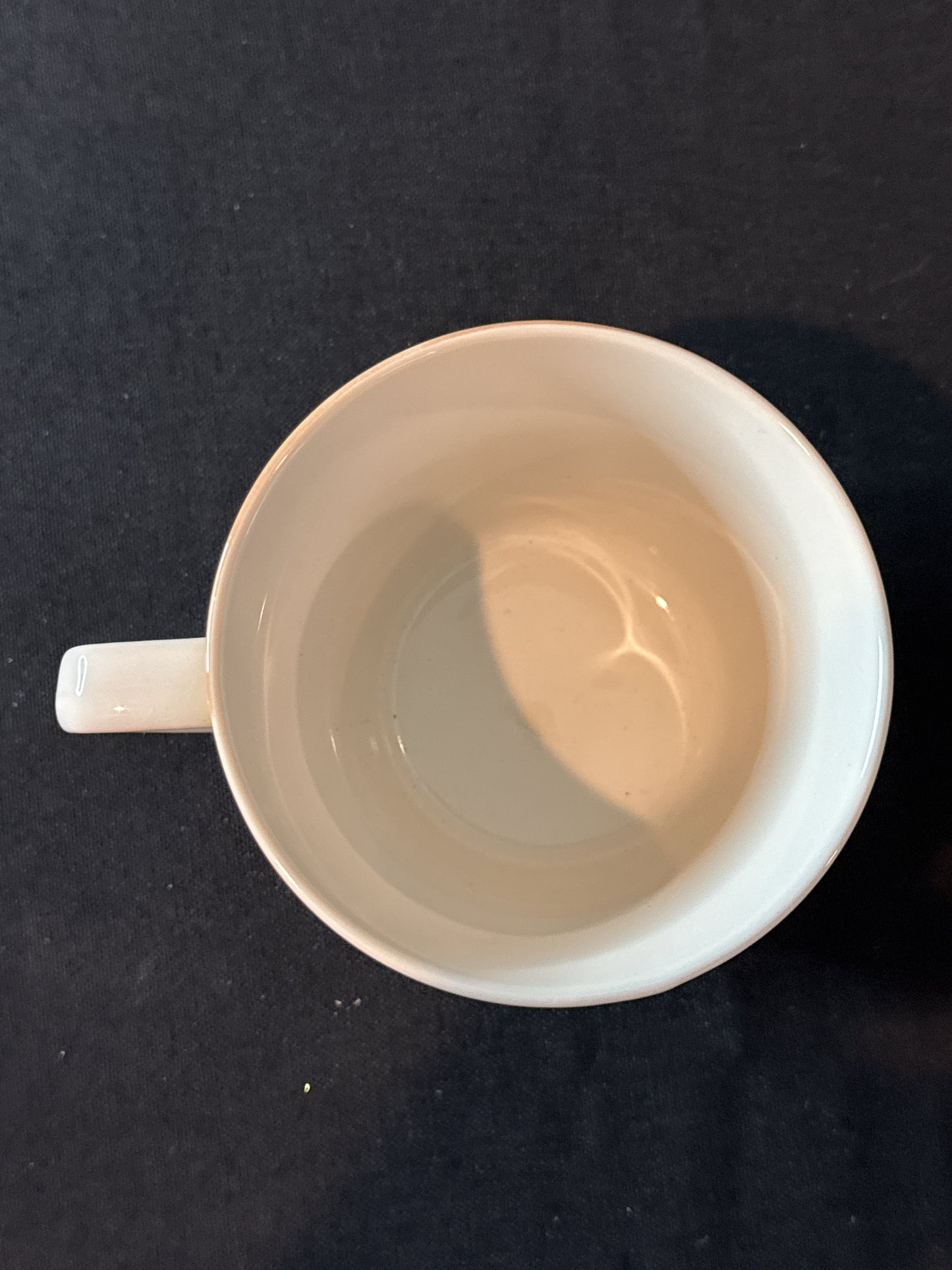 PTS International Interiors Ceramic Sanibel Coffee Cup Mug 3.5" Tall