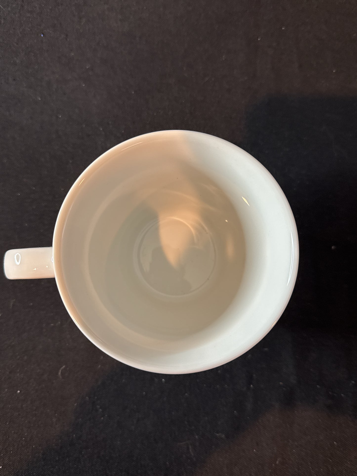 New Old Stock Princess House Veranda Floral Accent Set of 4 Coffee Cups Mugs 3.5" Tall In Box